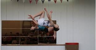 Image result for Swallows Of Helston Gymnastics Club