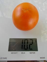 Afbeeldingsresultaat voor belarus orange tomato
