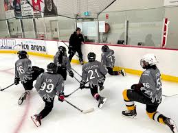Image result for Perth Junior Ice Hockey Club