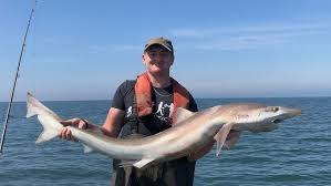 Image result for Fylde Boat Angling Club