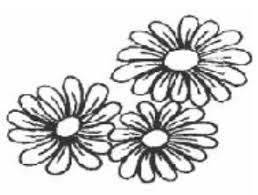 Image result for Ewhurst Stoolball Club