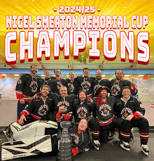 Image result for Dublin Underwater Hockey Team