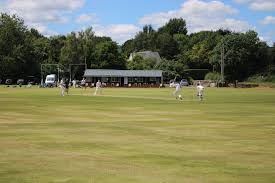 Image result for Yelverton Bohemians Cricket Club