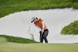 Image result for seppi tehron