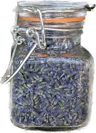 Attēlu rezultāti vaicājumam “Lavandula angustifolia bud”