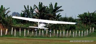 Image result for The Nayland Flying Club