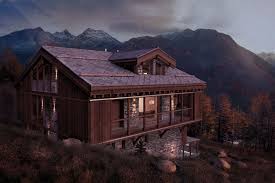 Image result for Steinnelke