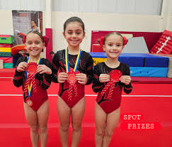 Image result for Fromeside Gymnastics Club (1987) Limited