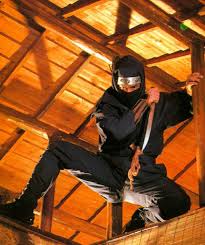 Image result for Hertfordshire Iga Ryu Ninjutsu