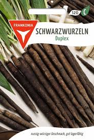 Image result for Schwarzwurzeln