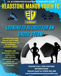 Image result for Headstone Manor Youth Football Club