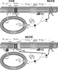 Image result for HTRPC