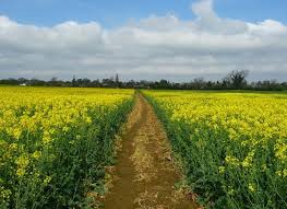 Image result for Nassington Cc