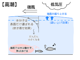 Image result for 高潮 津波 別物