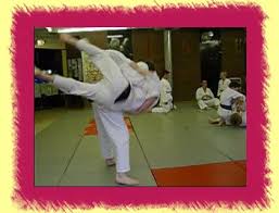Image result for Tora-Kai Judo