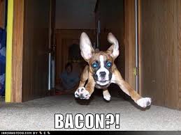 images?q=tbn:ANd9GcRKjMvG1LH3QQdjU-YuUqJSN_MiS6zLxh5QsyDSCno6TakFPJPzRA&t=1