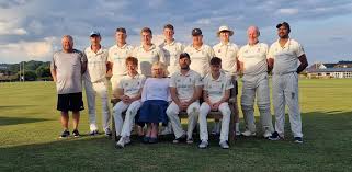 Image result for Luctonians Cricket Club