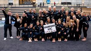 Image result for Biddick Sports College Community Gymnastics Club