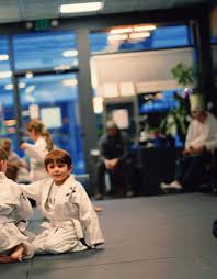 Image result for Horndean Zen Judo Club