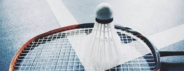 Image result for Loddon Sherpas (Hampshire) Badminton Club