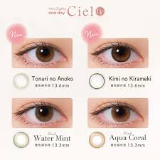 「ネオサイトワンデーシエル」の画像検索結果