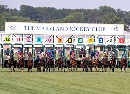 Image result for The Horse Racing Club