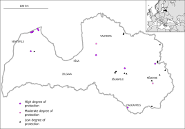Attēlu rezultāti vaicājumam “Hamatocaulis lapponicus”