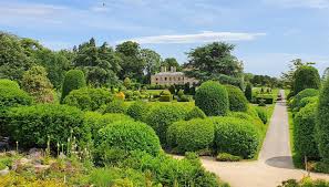 Image result for Brodsworth Main Cricket Club