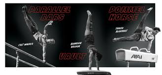 Image result for Arabian School Of Gymnastics