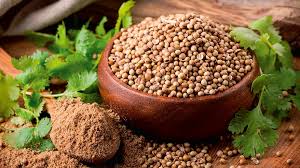 Image result for Koriander