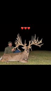 Image result for Big Bucks High Rollers