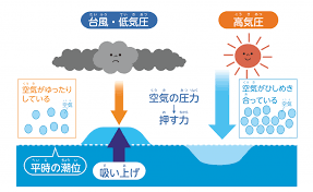 Image result for 高潮 津波 別物