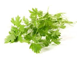 Image result for Kerbel