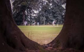 Image result for Follifoot Cc