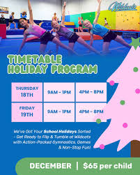 Image result for Pyramid Gymnastics Club