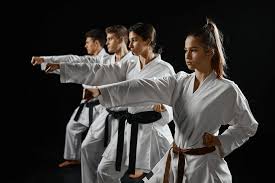 Image result for Championship Martial Arts Winter Springs
