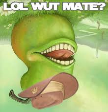 Image result for lol wut