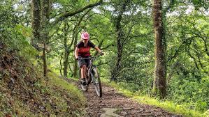 Image result for Berks On Bikes Mountain Bike Club