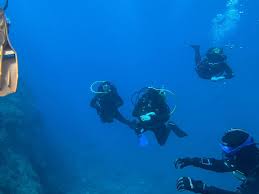 Image result for Darwen Snorkelling Club