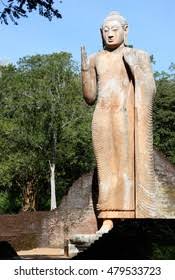 Image result for Buddha Maligavilla Srilanka