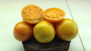 Afbeeldingsresultaat voor caro rich tomato