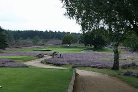 Image result for Hankley Common Golf Club