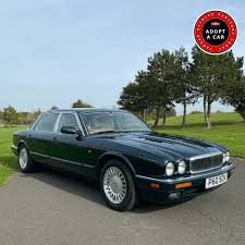 Image result for Racing Green 1981 Jaguar