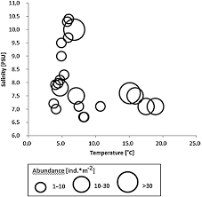 Attēlu rezultāti vaicājumam “Saduria entomon”