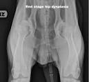Category - Faqs - Animal Medical Center - Los Angeles, California