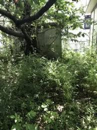 Image result for 自宅突然死 単身世帯