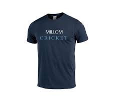 Image result for Millom Cricket Club