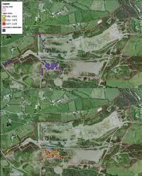 Attēlu rezultāti vaicājumam “Cladopodiella francisci macro”