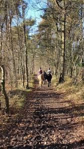 Image result for Ayr Riding Club