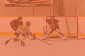 Image result for Walsall Roller Hockey Club